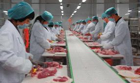 食品加工行業(yè)客戶企業(yè)名錄